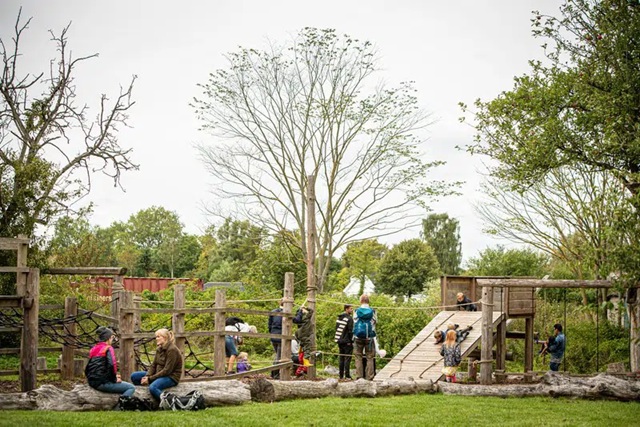 Hakkemosen legeplads